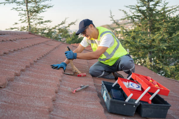 Roof Gutter Cleaning in Dunkirk, NY