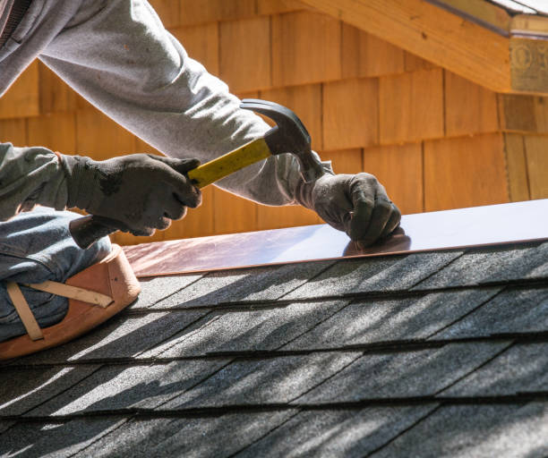 Best Roof Gutter Cleaning  in Dunkirk, NY